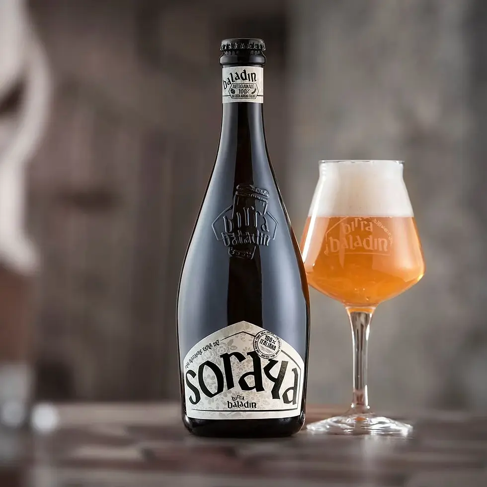 Miniatura: BIRRA VIVA BALADIN lievito vino barolo
