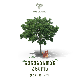 Diamond Projects 2