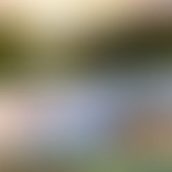 "מעת לעת" גיליון 97 אפריל 2022-1