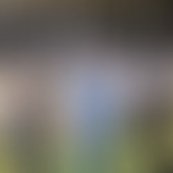 קורסים וקהילות - יולי 2025