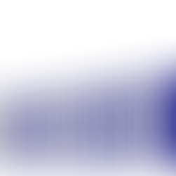 מידן סולר - נובמבר 2024