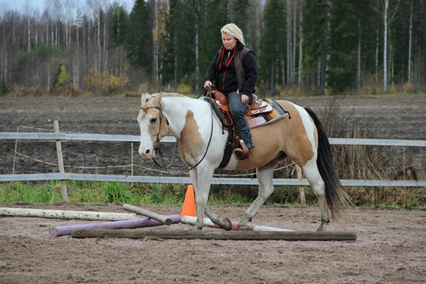 Mari ja Hiivatti kotikentällä