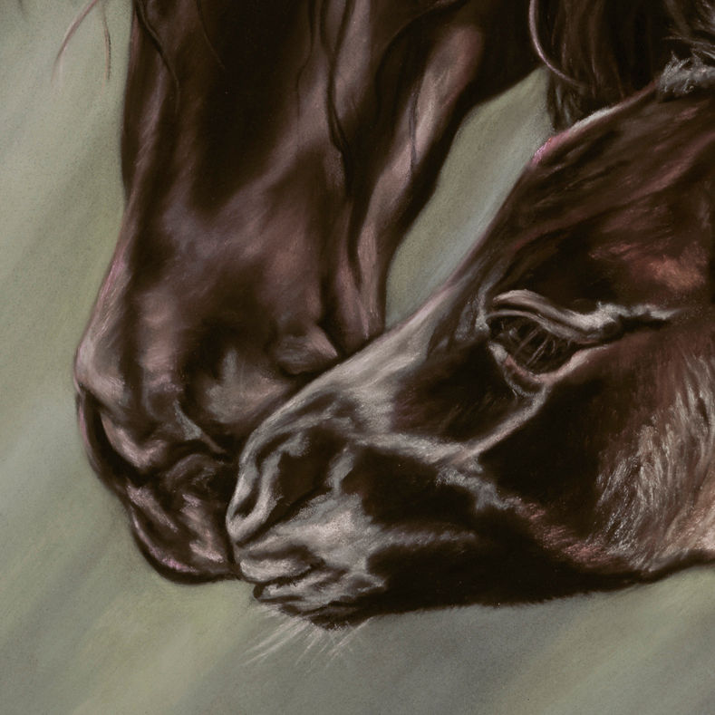 "Good Morning" (Detail) Pastel by Kim McElroy