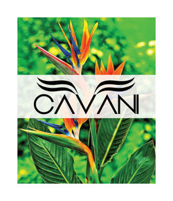 CAVANI SPRING