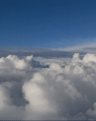 Adobe Express - joined_video_53b4d8bd2e0f495a9e896380ec9e64a3.gif