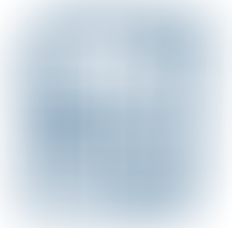 Running the Programme Invoice Report