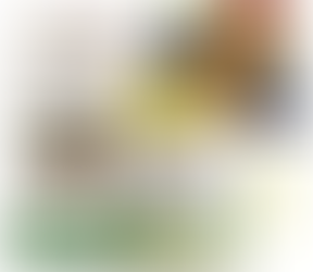 Barrier Creams: what they are and why your skin needs one