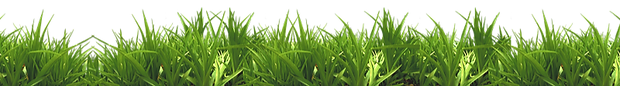 71621-green-white-grass-park-bench-free-