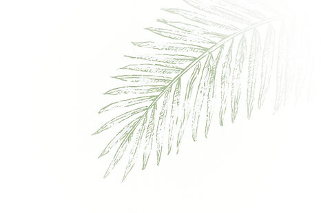 ccs4593_creaty_a_luxury_simple_palm_leaf