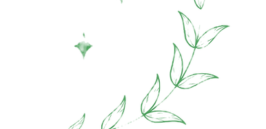5_edited.png