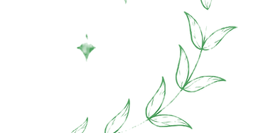5_edited.png