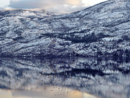 Living Through Winter in the Okanagan: Real Tips from Locals