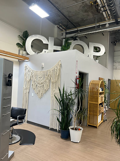 hair cutting salon and balayage, hair extension bay area