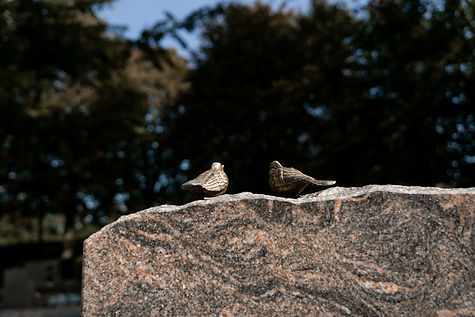 Fotograaf uitvaart Friesland