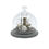 Miniature : Petit monde marin