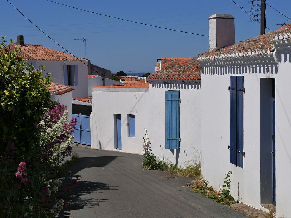Au delà de l'estuaire de la Loire, l'architecture prend des allures méditerranéennes, avec ses maison basses blanchies à la chaux et recouvertes de tuiles romanes. Ici l'ile d'Yeu.