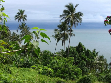 La France, un pays latino-Américain qui s'ignore