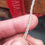 Miniatura: Fedina della Felicità