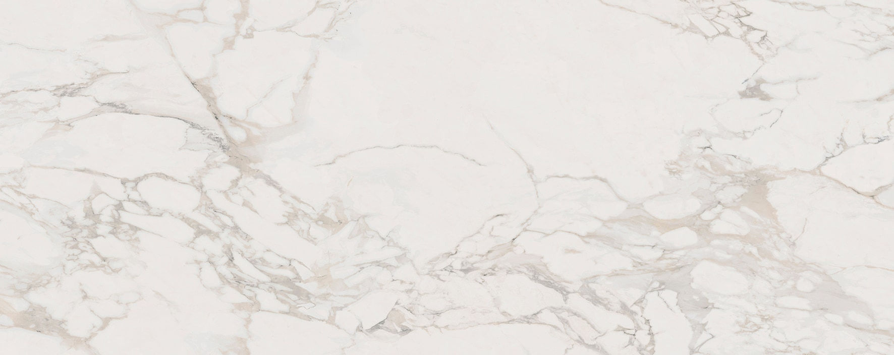MASSA (B) 59.6X150