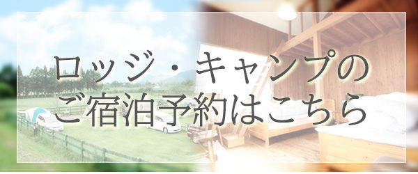 ロッジキャンプ予約.jpg