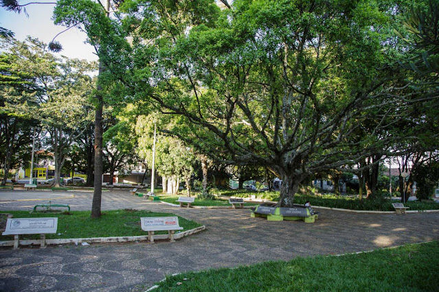 Os Detalhes de São Carlos: Pequenas Cenas que Revelam a Essência da Cidade