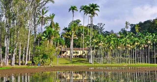 São Carlos Invisível: Lugares e Histórias que Ficam Fora dos Roteiros Tradicionais