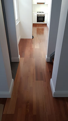 20181122_153300.jpg