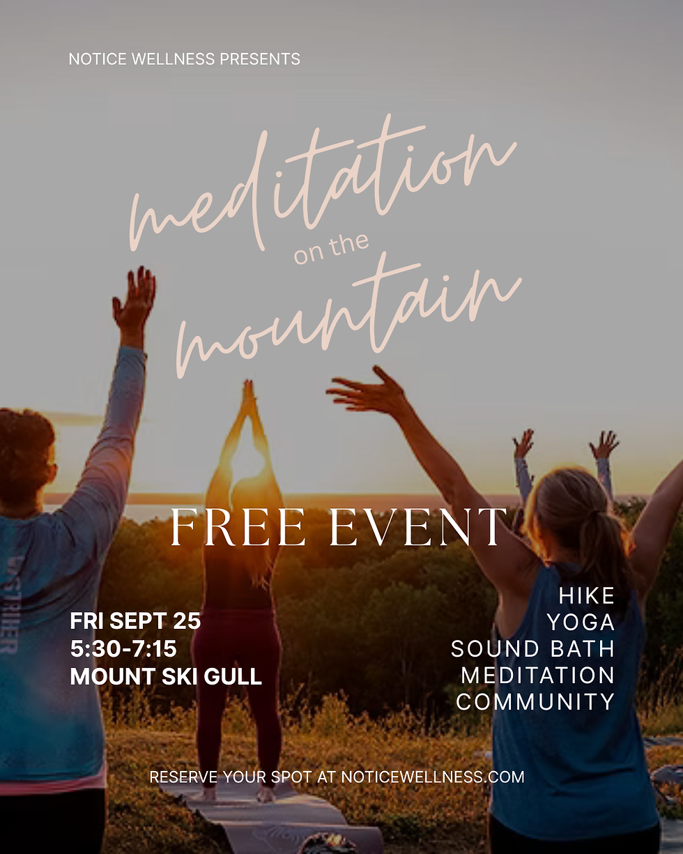 Meditation On The Mountain