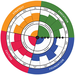 Assessment of your Portfolio Health & maturity and explore how well you’re managing your demand, aligning it with capacity, p