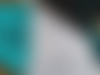 Diplôme national en Ostéopathie animale 