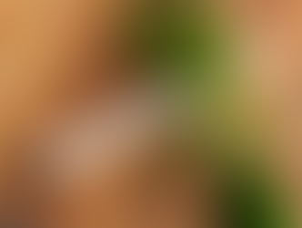 Parlamentares se mobilizam para anular decisões do STF sobre drogas e aborto