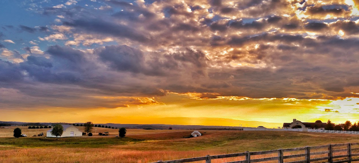 LAKE TANSI, CROSSVILLE TENNESSEE - .26 ACRE LOT - 149O H 037.00