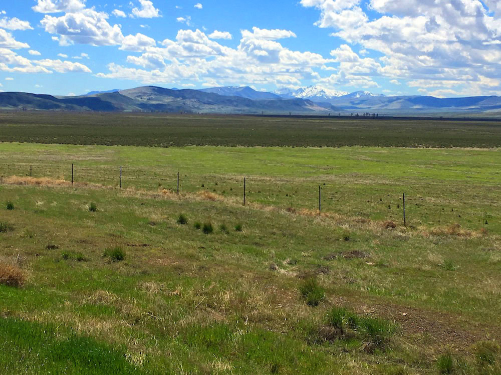 003-521-05 & 06 / 80.00 Acres in Pershing County, Nevada
