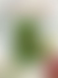 26190017 신지민