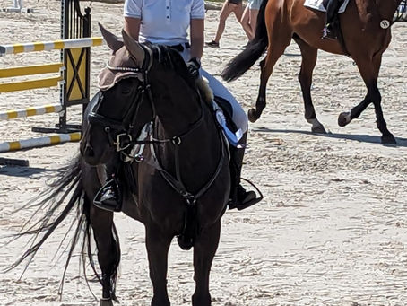 Platzierungen für Carla Bruni, Canela und Diabella