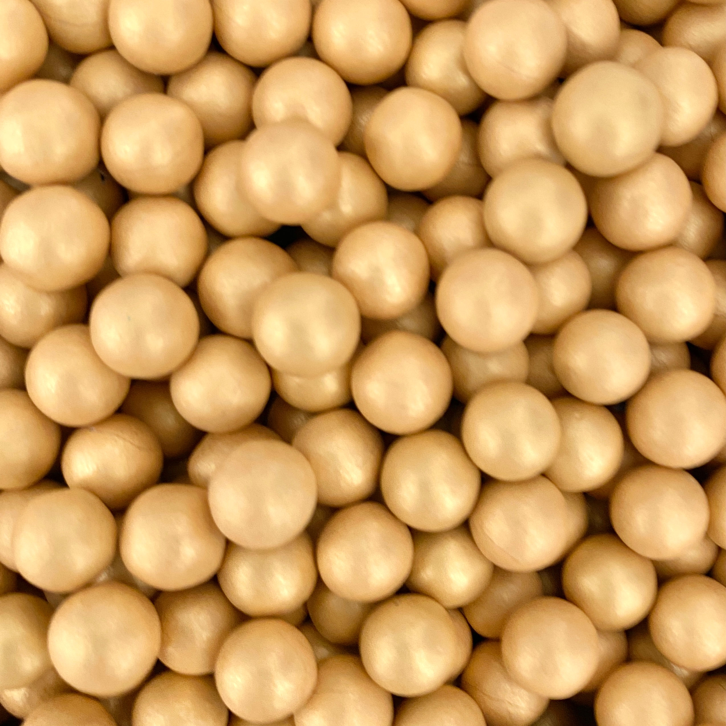 Chocoperla Perlada Grande 8mm Dorada