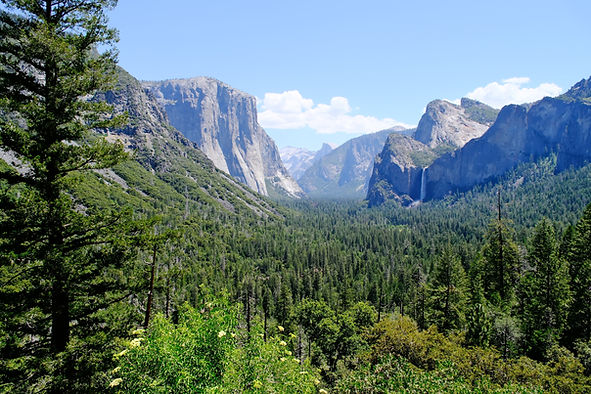 green forest trees in Yosemite valley, Yosemite National Park tunnel view In California,