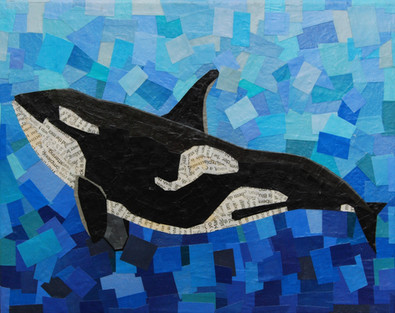 orca.jpg