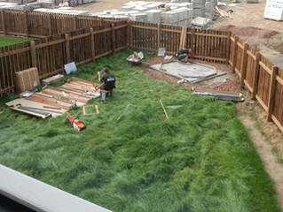 Member Gardens - New Garden Transformation
