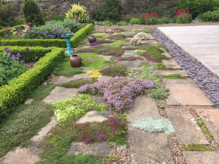 June & July Garden Galleries