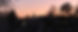 skyline2_edited.jpg
