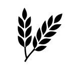 1000061500_edited.png