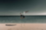 A25349DC-DF1D-4C38-878A-0DF16E70E066.jpeg