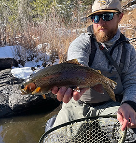 Guided Flyfishing 