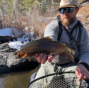 Guided Flyfishing