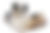Vortrag: Hunde als Helfer - Kann mein Hund das auch?