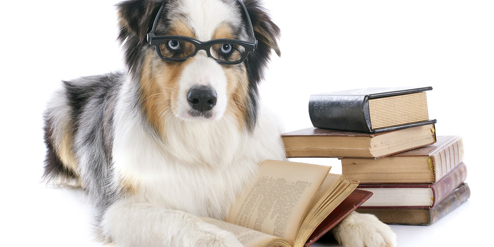 Vortrag: Hunde als Helfer - Kann mein Hund das auch?