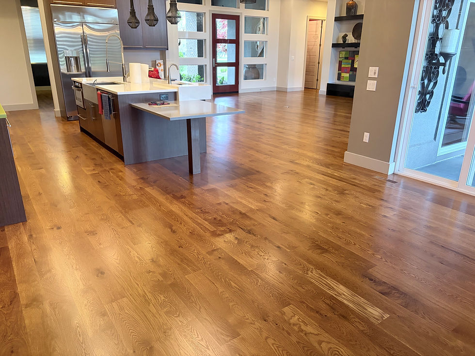 Floor Refinishing
