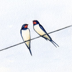 swallows in spring