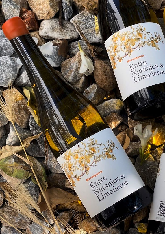 NARANJOS Y LIMONEROS.jpg